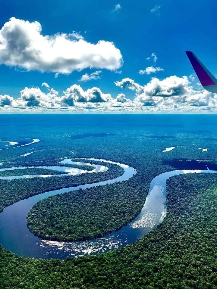 In Peru Rainforest  Trips