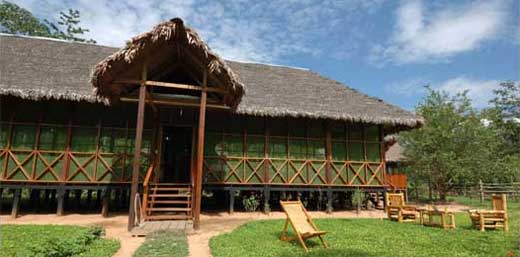 Stay  Manu Birds Lodge