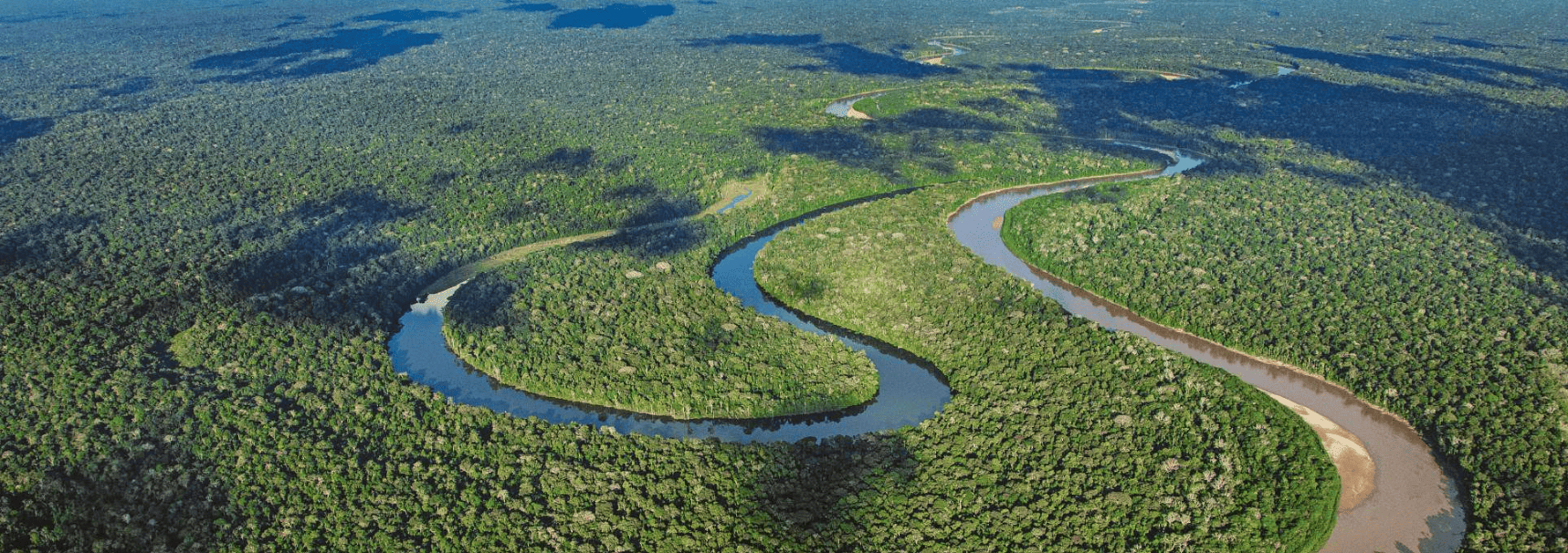 Birdwatching in  Amazon Peru