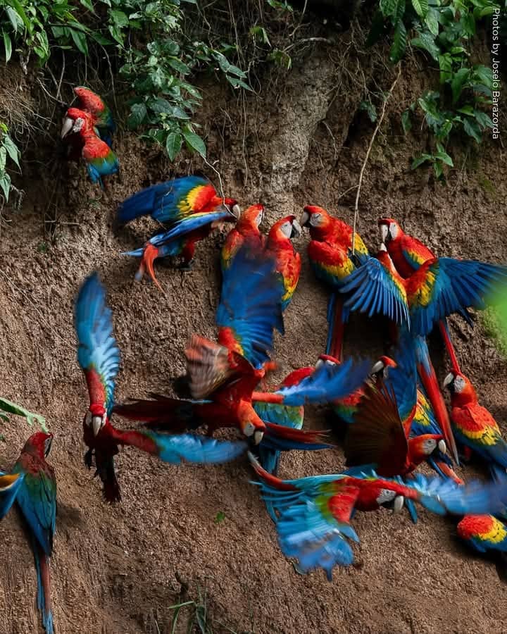 Tour Amazon Tours Amazonia