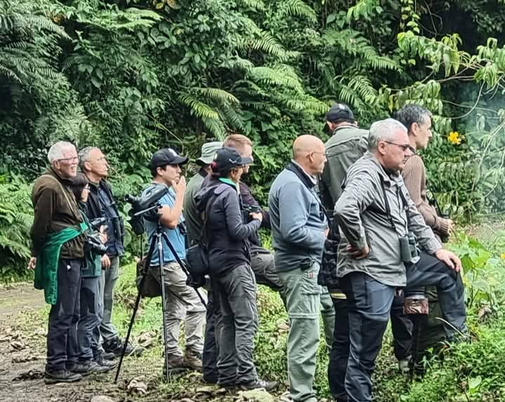 Best Manu Road Birding and Photography Tour from Cusco 5 day